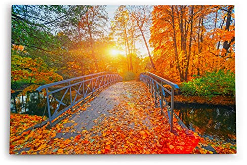 Paul Sinus Wandbild 120x80cm Herbstblätter Herbst Holzbrücke Bach Sonnenschein