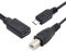 CY Câble d'extension de répartiteur de type C USB-C femelle vers USB 2.0 standard Type-B et Micro USB mâle