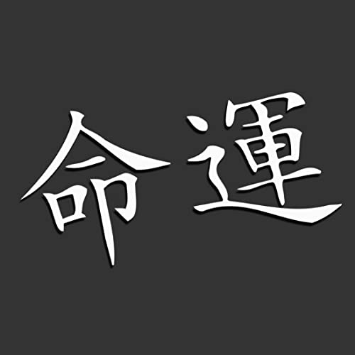 Decus Shop SCHICKSAL JAPANISCHE Zeichen L 2373 (weiß) // Sticker OEM JDM Style Aufkleber