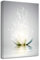 LZIMU Zen Bild auf Leinwand weiße Lotusblume Blüte im Wasser Kunstdrucke Wanddekoration Gerahmt graues Bilder für Yoga Spa Meditation spirituelle Raumdekoration(3, 40x60cm)