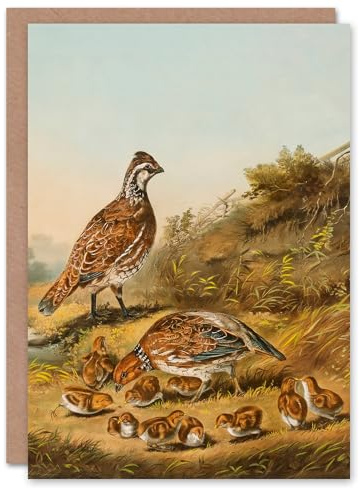 Artery8 Nathaniel Currier Art Card Quail Birds The Cares of a Family