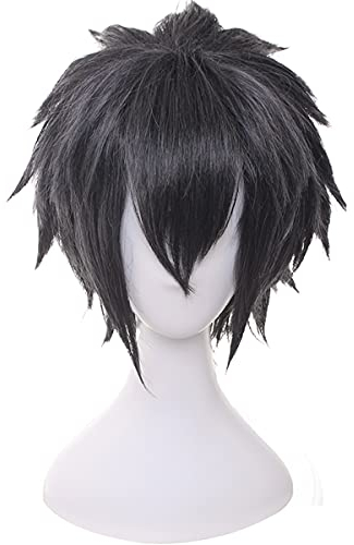 YXZCOS Perücke 【Final Fantasy: Noctis Lucis Caelum】 Cosplay Perücke Halloween Perücken Fasching Damen-/Herrenperücke Karneval Wig