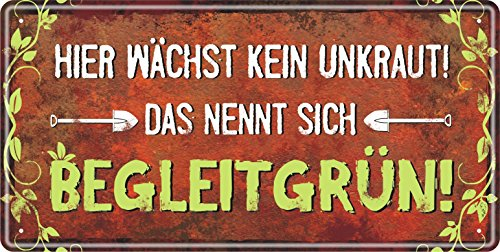Großes Metallschild rostfrei Blechschild Schild Garten mit lustigem Spruch im Vintage Retro Look (Begleitgrün)