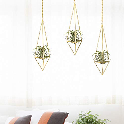 Ecosides Juego de 3 soportes para plantas de aire colgantes de pared de tamaño mini, terrario de metal gemométrico con cadenas para plantas de aire en color dorado para decoración del hogar