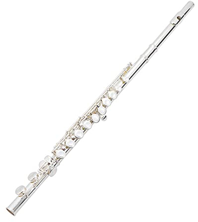 flöte Instrument Querflöte Musikinstrument Anfänger Profi Querflöte Musikinstrument C-Klappe 16-Loch Versilbert