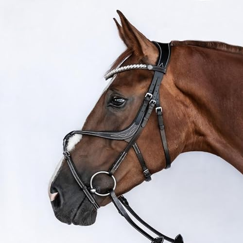 BRIDLERY Trense Passion Beschläge Silber, Farbe Schwarz, Größe Warmblut