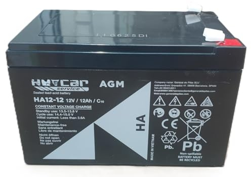 Bateria Recargable 12V Y 12AH - Compatible Coches electricos niños de 12V