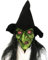 Hbbgdiy Halloween -Masken für Erwachsene, alte Hexenmaske mit langen Haaren und Hood Latex Clown Maske für Erwachsene für Kostümdekorationen Requisiten