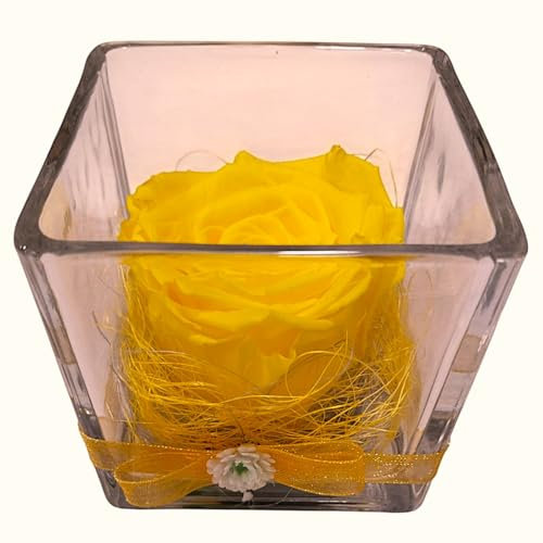 ROSA GIALLA ETERNA. Cubo di cristallo. Rosa gialla naturale stabilizzata. Rosa gialla eterna naturale. Acquista fiori stabilizzati. Regalo originale.