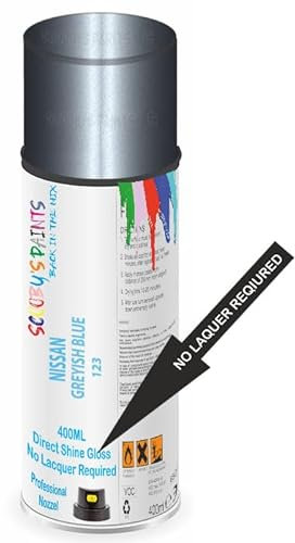 SCOOBYS PAINTS BACK IN THE MIX Direct Gloss Aerosol Spray Paint For Nissan Greyish Blue Code: 123 No Lacquer Required
