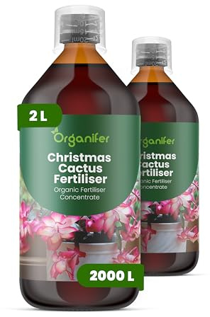 Concime liquido organico 2x1L per cactus di Natale – stimola la formazione di germogli – Organifer