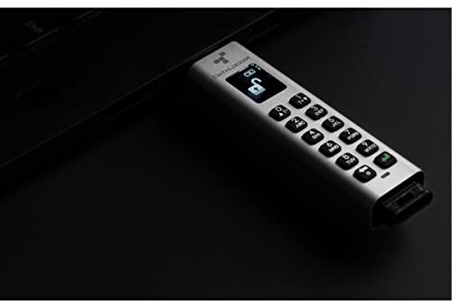 DataLocker Sentry K350 USB 3.2 Gen 1 128GB microSATA SSD mit AES-256bit Hardware-Verschlüsselung, OLED Display und Keypad, FIPS 140-2 Level 3 Zertifiziert, DSGVO/GDPR konform, SK350-128-FE