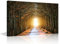 TISHIRON Hausdekorationen Baum Eichen Tunnel Wandbilder für Wohnzimmer Straße Leinwand Wandkunst Natürliche Landschaft Moderne Wandmalerei 1 Panel Drucke Wandkunst auf Leinwand gerahmt fertig zum