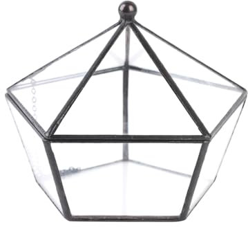 Soulnioi Geometric Glass Plant Terrariun/Pentagon Shape Clear Glass Vase for Succulent for Wedding Decorative Display Flower Pot Black
