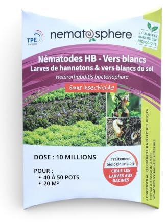 Nématodes HB Anti Vers Blancs (10 Millions pour 20 m²)