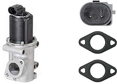 HELLA 6NU 010 171-541 AGR-Ventil - elektronisch - 2-polig - mit Dichtungen