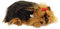 Perfect Petzzz Hundewelpe Yorki, atmet The Breathing Puppy