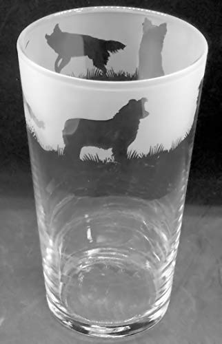 Border Collie Frieze Boxed 1 Pint Conical Beer Glass