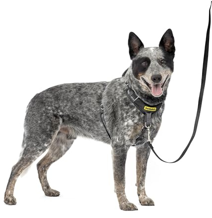 PetSafe Easy Walk Comfort No-Pull Dog Harness Full-Body Padding - Better Walks on the First Use - 5 Points of Adjustment Medium/Large, Black