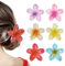 DADAPANGHU 6 Pezzi Pinze per Capelli Fiori Clip Artiglio da Donna, Mollette Capelli Donna Eleganti, Fermaglio Capelli Donna Antiscivolo, Mollette Fiori per Capelli, Accessori Capelli Stile Hawaiano