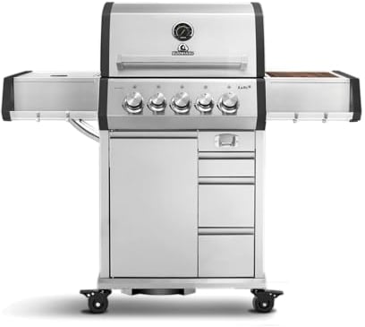 BURNHARD Earl 3-Brenner Gasgrill Edelstahl inkl. Heckbrenner, mit Gusseisen Grillrost & inkl. Stabiler Abdeckhaube, Seitenkochfeld mit Infrarot Keramikbrenner