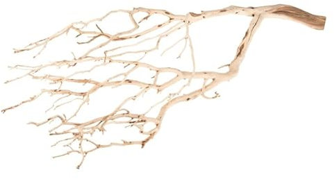NaDeco Manzanita Baum sandgestrahlt 60 cm, Dekobaum ohne Fuß
