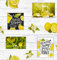 PVC Tischdecke Zitro Zitrone Wachstuch · Breite & Länge wählbar · abwaschbare Tischdecke · Limonade gelb Weiss Limone Lemon, Größe:140 x 100 cm