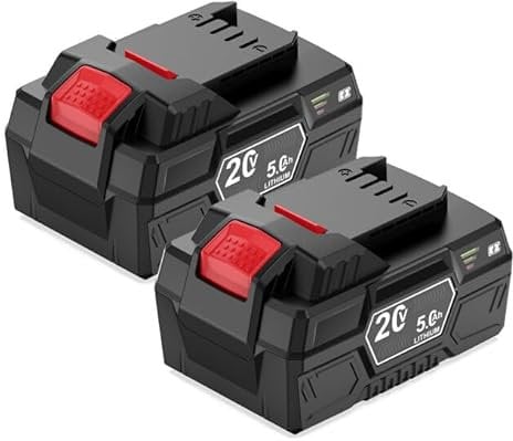 2X 20V 5Ah Batteria di Ricambio per Parkside PAP 20 B1 B3 A1 Compatibile con tutti gli attrezzi della serie Parkside X 20V Team