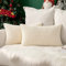 MIULEE 2er Set Kissenbezüge Dekokissen Körnig Dekorativ Kissenbezug Kissenhülle Sofakissen Deko Bezug Weich Zierkissen Kissen für Wohnzimmer Schlafzimmer 30x50cm Beige