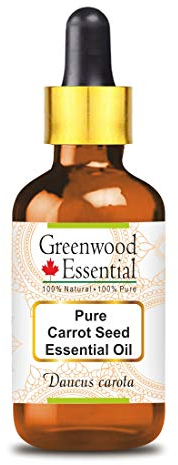Greenwood Essential Naturreine Ätherisches Karottensamenöl (Daucus carota) mit Glas Tropfer Dampfdestilliert 30ml (1 oz)