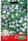 Germisem Hainblume, EC1559, mehrfarbig