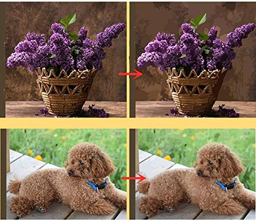 mnbhj Personalisierte Malen Nach Zahlen Eigenes Bild,Malen Nach Zahlen Erwachsene Personalisiertes Eigenes Foto,Mit Pinseln und Farben 60 * 80CM(Ohne Rahmen)