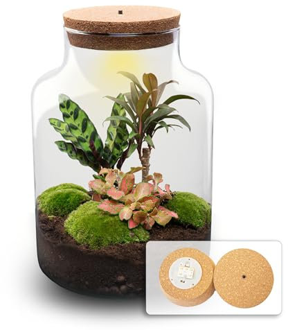 Terrarium DIY Kit - Milky Palm - Bottle Garden - ↑ 30 cm
