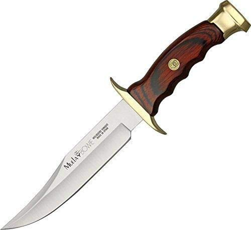 Muela Cuchillo de caza BW-16 con hoja de acero inoxidable MoVa de 16 cm y empuñadura de madera de coral para Caza, Pesca, Supervivencia y Bushcraft + Portabotellas de regalo