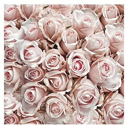 Ambiente - 20 SERVIETTES FLEUR ROSE PASTEL 33x33CM