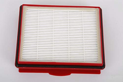 Filtro HEPA H12 adatto per Electrolux Lux 1, Lux 1 Classic, Lux 1 Royal, Lux D 820 – ricambio per filtro HEPA originale Lux 1 105015801 contenitore per polvere