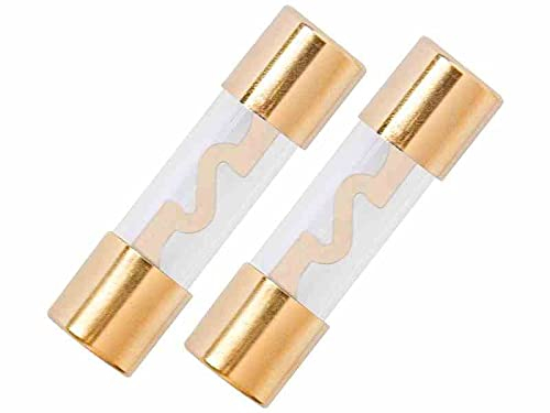 2 Stück AGU Sicherungen 40A Glasrohr Gold Überzogen Auto Power Schutz Linie Tube Audio Power
