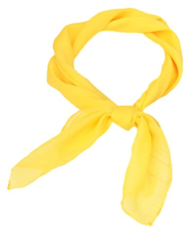 FAIRYGATE Chiffon Schal SeideSchal Gefühl Schal Halstuch Damen Seidentuch Scarf Bandana Handgelenk Kopftücher DA2912