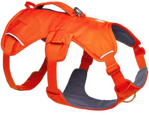 Ruffwear Web Master Hundegeschirr, Y-Front-Hundegeschirr mit Griff und verbesserter Schnalle, verstellbar und leicht für Spaziergänge und Wanderungen, fluchtsicher, kein Ziehen, Blaze Orange, Medium