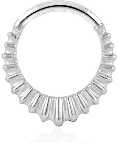 DOEARKO Herz Septum Piercing Ring 316L Chirurgenstahl Septum Clicker Segmentring Hoop Hinged Daith Helix Tragus Conch Earring Piercing Schmuck