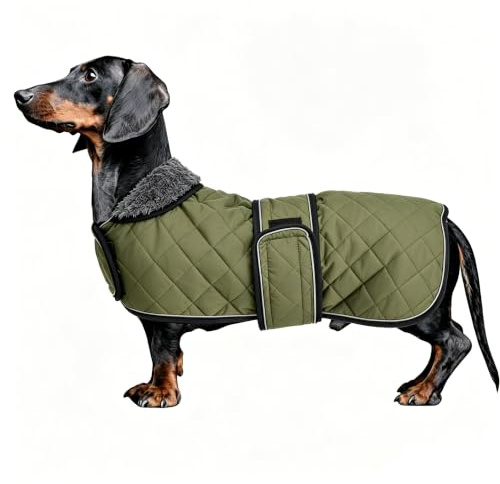 MOREZI Hundemantel Winter für Dackel - Wasserdichter Hunde Pullover mit Wolle Futter & Verstellbaren Gurten, Warmer Wintermantel für Kleine Hunde im Freien-Grün-XS