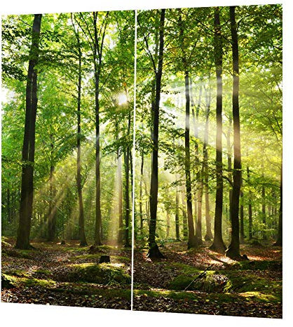 Hoseten Hauptdekoration Balkon Vorhang, Mode Fenster Vorhang, Wald Sonnenlicht Druck Natur Landschaft für Wohnzimmer Küche(150 * 166cm)