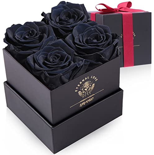 Impouo Rosa conservata, regalo per lei, regalo di compleanno per donne, regalo per mamma, fidanzata, moglie, nonna, Natale, compleanno, San Valentino, colore rosa nera