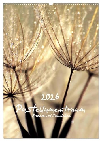Pusteblumentraum - Dreams of Dandelion (Wandkalender 2026 DIN A2 hoch), CALVENDO Monatskalender: Wunderschöne Makroaufnahmen der Pusteblume mit außergewöhnlicher Perspektive (CALVENDO Natur)