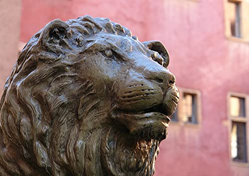 hansepuzzle 51531 - Lyon Puzzle 260 Teile | Hintergründe Puzzle mit hochwertiger Puzzle Aufbewahrung: Kartonbox und wiederverschließbarem Beutel | Puzzle-Maße: 41 x 28,7 cm