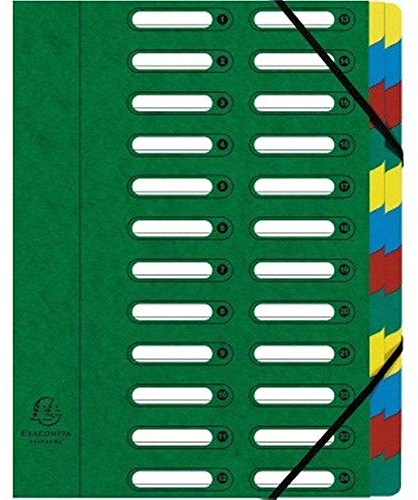 Exacompta Ordnungsmappe Harmonika 55243E DIN A4 24Fächer grün