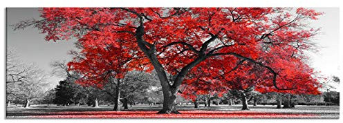 decomonkey - Impression sur Toile Arbre 120x40 1 Pièce - Tableau Décoration Appartement Cadre en Bois Déco Salon Peinture sur Toile Maison Des arbres photographie automne paysage feuilles nature