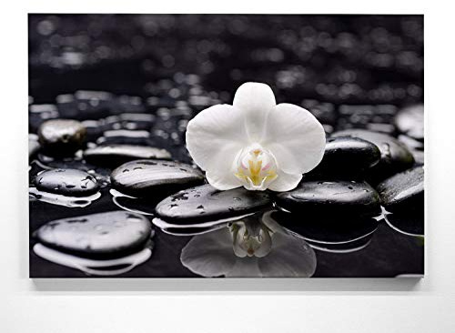 BilderKing Orchideebild im Groß-Format 120x80cm, Orchidee schwarz-weiß - als großes XXL Leinwandbild. Wandbild als Hintergrund und Deko für Wohnzimmer & Schlafzimmer. Aufgespannt auf Holzrahmen