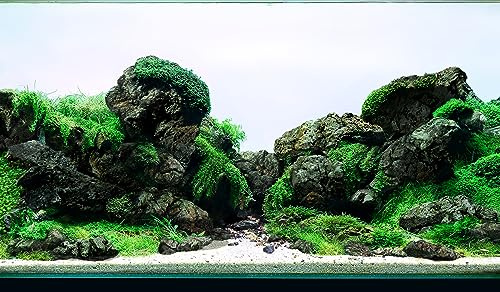 LANDEN Black Icelandic Lava Stone Natural Rocks (18lbs, 3~11 inches,11pcs) for Aquariums, Paludariums, Terrariums, Caves and Rocky Peaks, Mountainous Desert Landscapes