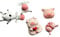 Cute 3d Fridge Magnets, Cute Fun Decorative Magnets, Farm Animals, (Farm Animals)